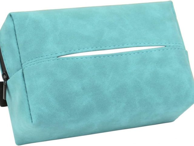 Haveratio Porta Pañuelos para Coche, Servilletero para Parasol, Porta Mascarillas para Parasol, Dispensador de Mascarillas para Asiento Trasero de Coche Azul