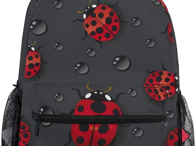 Ladybug Rain School Backpack for Boys Girls Boys Travel Bag Backpack
