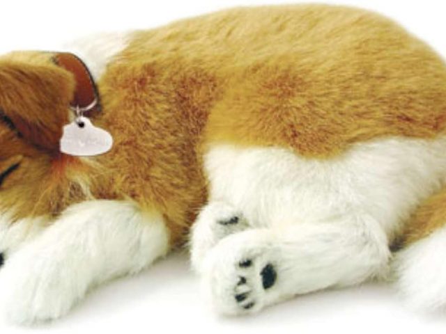 Perfect Petzzz Collie Breathe Puppy The Breathing Puppy