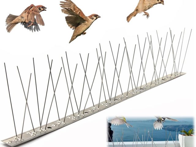 Anti-Pigeon Spikes, Premium Anti-Pigeon Spikes, Anti-Bird Spikes, Stainless Steel Anti-Pigeon Spikes Kit, Anti-Bird Skewers, Anti-Pigeon Spikes Stainless Steel